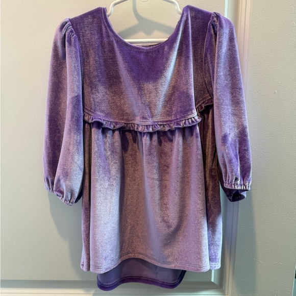 Pink Chicken Other - Pink Chicken Purple Rowan Velour Puff Sleeve spring Ruffle Top 8